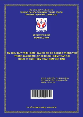 Đồ án hcmute tìm hiểu quy trình đánh giá rủi ro có sai sót trọng yếu trong giai đoạn lập kế hoạch kiểm toán tại công ty tnhh kiểm toán rsm việt nam