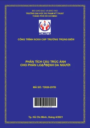 Hcmute phân tích cấu trúc ảnh cho phân loại bệnh da người