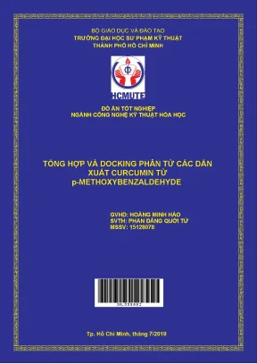 Đồ án hcmute tổng hợp và docking phân tử các dẫn xuất curcumin từ p methoxybenzaldehyde