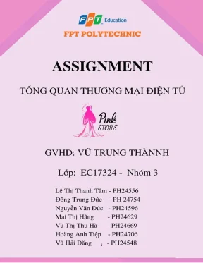 Tiểu luận tổng quan về thương hiệu và tác động của thương mại điện tử 1 1tổng quan về thương hiệu pink store