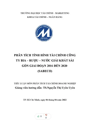 Tiểu luận phân tích tình hình tài chính công ty bia rượu nước giải khát sài gòn giai đoạn 2016 đến 2020 sabeco