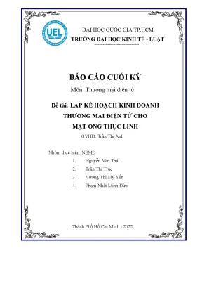 Tiểu luận môn thương mại điện tử đề tài lập kế hoạch kinh doanh thương mại điện tử cho mật ong thục linh