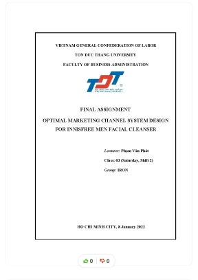 Final assignment optimal marketing channel system design for innisfree men facial cleanser
