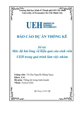 Tiểu luận mức độ hài lòng và hiệu quả của sinh viên ueh trong quá trình làm việc nhóm