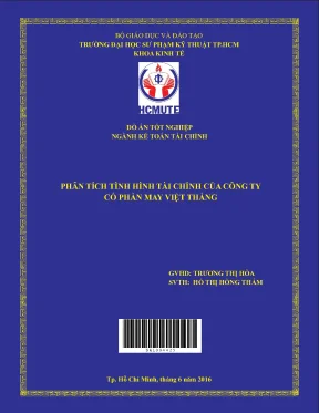 Đồ án hcmute phân tích tình hình tài chính của công ty cổ phần may việt thắng