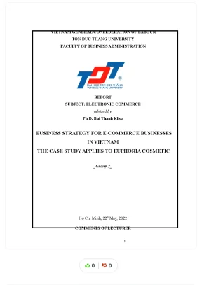 Business strategy for e commerce businesses in vietnam the case study applies to euphoria cosmetic