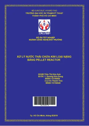 Đồ án hcmute xử lý nước thải chứa kim loại nặng bằng pellet reactor
