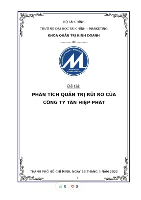 Tiểu luận đề tài phân tích quản trị rủi ro của công ty tân hiệp phát