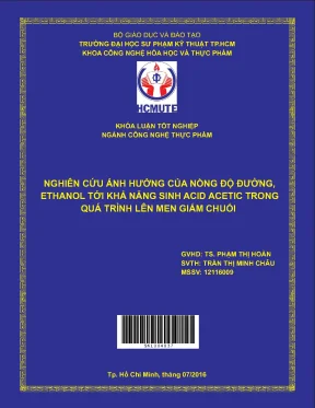 Đồ án hcmute nghiên cứu ảnh hưởng của nồng độ đường ethanol tới khả năng sinh acid acetic trong quá trình lên mên giấm chuối