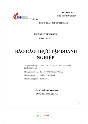 Báo cáo thực tập doanh nghiệp cơ quan thực tập công ty cổ phần đầu tư phát triển megas