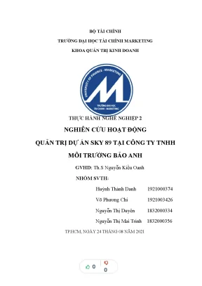 Tiểu luận nghiên cứu hoạt động quản trị dự án sky 89 tại công ty tnhh môi trường bảo anh