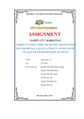 Tiểu luận nghiên cứu marketing nghiên cứu phát triển thị trường cho sản phẩm dầu gội phủ bạc laco của công ty cổ phần quốc tế laco tại thành phố buôn ma thuột