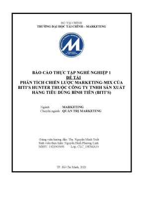 Tiểu luận phân tích chiến lược marketing mix của bitis hunter thuộc công ty tnhh sản xuất hàng tiêu dùng bình tiên bitis