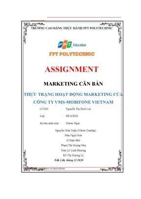 Tiểu luận marketing căn bản thực trạng hoạt động marketing của công ty vms mobifone vietnam