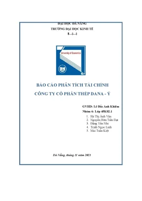 Tiểu luận báo cáo phân tích tài chính công ty cổ phần thép dana ý