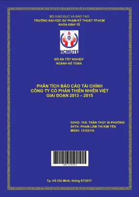 Đồ án hcmute phân tích báo cáo tài chính công ty cổ phần thiên nhiên việt giai đoạn 2013 2015
