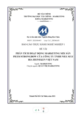 Tiểu luận phân tích marketing mix s hoạt động ản phẩ ủ m strongbow c a công ty tnhh nhà máy bia heineken vi t nam