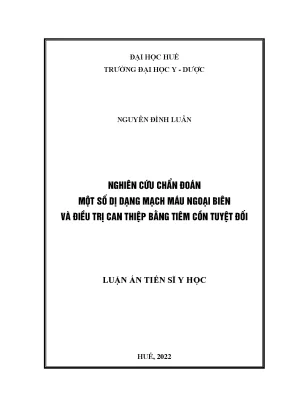 Nghiên cứu chẩn đoán một số dị dạng mạch máu ngoại biên và điều trị can thiệp bằng tiêm cồn tuyệt đối