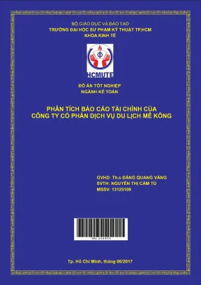 Đồ án hcmute phân tích báo cáo tài chính của công ty cổ phần dịch vụ du lịch mê kông