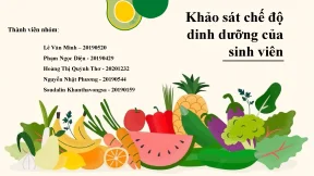 Tiểu luận khảo sát chế độ dinh dưỡng của sinh viên