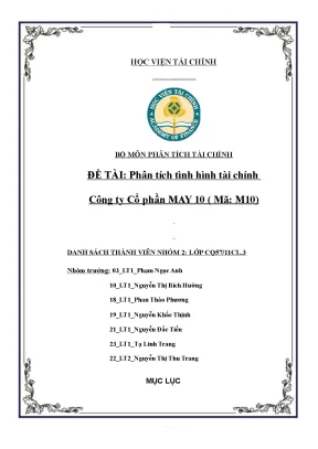 Tiểu luận đề tài phân tích tình hình tài chính công ty cổ phần may 10 mã m10
