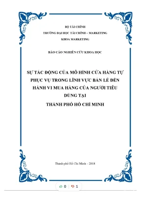 Tiểu luận sự tác động của mô hình cửa hàng tự phục vụ trong lĩnh vực bán lẻ đến hành vi mua hàng của ngƣời tiêu dùng tại thành phố hồ chí minh