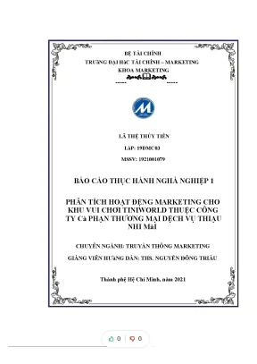 Tiểu luận phân tích hoạt động marketing cho khu vui chơi tiniworld thuộc công ty cổ phần thương mại dịch vụ thiếu nhi mớ