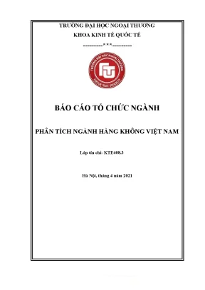 Tiểu luận báo cáo tổ chức ngành phân tích ngành hàng không việt nam