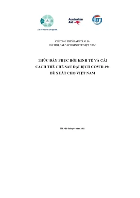 Tiểu luận thúc đẩy phục hồi kinh tế và cải cách th ch i d ch covid 19 ể ế sau đạ ị đề ấ ệ xu t cho vi t nam