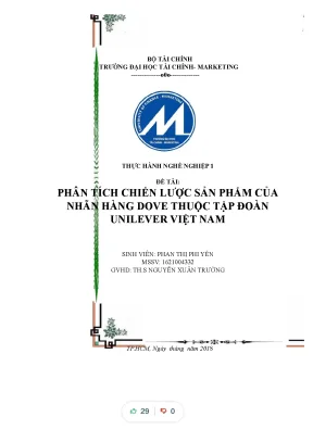 Tiểu luận phân tích chiến lược sản phẩm của nhãn hàng dove thuộc tập đoàn unilever việt nam