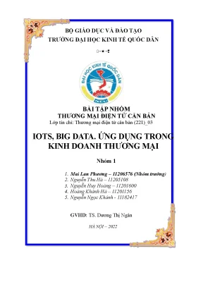 Tiểu luận bài tập nhóm thương mại điện tử căn bản iots big data ứng dụng trong kinh doanh thương mại