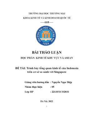 Tiểu luận thảo luận nhóm tmu trình bày tổng quan kinh tế của indonesia trên cơ sở so sánh với singapore