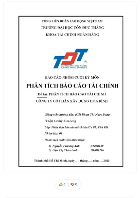 Tiểu luận phân tích báo cáo tài chính đề tài phân tích báo cáo tài chính công ty cổ phần xây dựng hòa bình