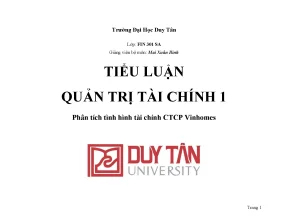 Tiểu luận quản trị tài chính 1 phân tích tình hình tài chính ctcp vinhomes