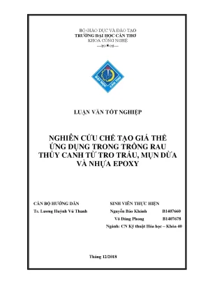 Tiểu luận nghiên cứu chế tạo giá thể ứng dụng trong trồng rau thủy canh từ tro trấu mụn dừa và nhựa epoxy