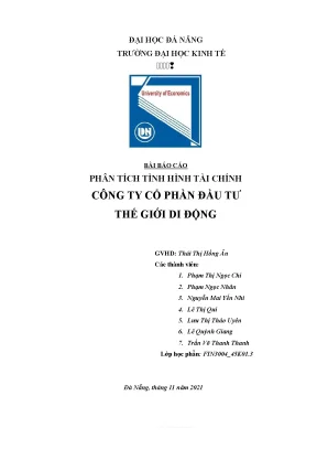 Tiểu luận phân tích tình hình tài chính công ty cổ phần đầu tư thế giới di động