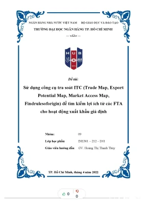 Tiểu luận sử dụng công cụ tra soát itc trade map export potential map market access map findrulesoforigin để tìm kiếm lợi ích từ các fta cho hoạt động xuất khẩu giả định