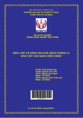 Đồ án hcmute điều chế và đánh giá khả năng kháng vi sinh vật của nano kẽm oxide