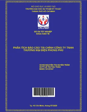 Đồ án hcmute phân tích báo cáo tài chính công ty tnhh thương mại điện phong phú