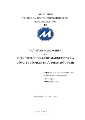 Tiểu luận thực hành nghề nghiệp 1 đề tài phân tích chiến lược marketing của công ty cổ phần thực phẩm hữu nghị