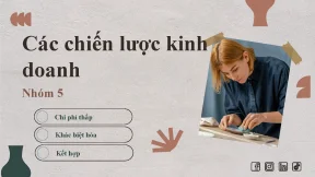 Tiểu luận tiểu luận khởi sự kinh doanh các chiến lược kinh doanh