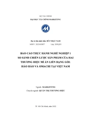 Tiểu luận so sánh chiến lược sản phẩm của hai thương hiệu mì ăn liền dạng gói hảo hảo và omachi tại việt nam