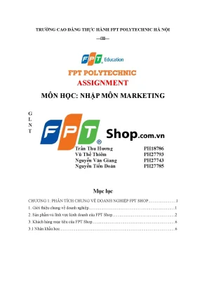 Tiểu luận phân tích chung về doanh nghiệp fpt shop