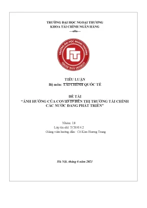 Tiểu luận ảnh hưở 19 đế ng của covid n thị trường tài chính các nước đang phát triển