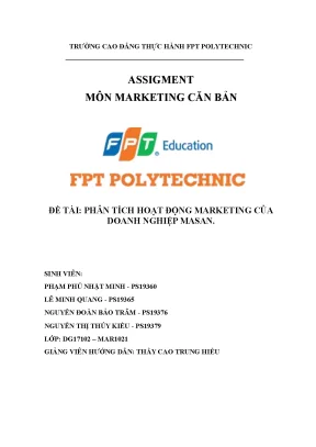 Tiểu luận đề tài phân tích hoạt động marketing của doanh nghiệp masan