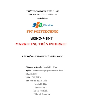 Tiểu luận assignment marketing trên internet xây dựng website mỹ phẩm sono