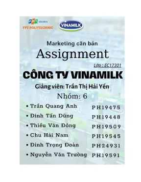 Tiểu luận phân tích môi trường marketing và chiến lược marketing hỗn hợp của dòng