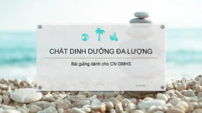 Tiểu luận slide bài giảng chất dinh dưỡng đa lượng