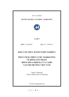 Tiểu luận báo cáo thực hành nghề nghiệp 1 phân tích chiến lược marketing về dòng sản phẩm đồng hồ g shock của casio tại thị trường việt nam