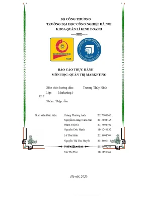 Tiểu luận báo cáo thực hành môn học quản trị marketing giới thiệu sơ lược về công ty cổ phần sữa việt nam vinamilk